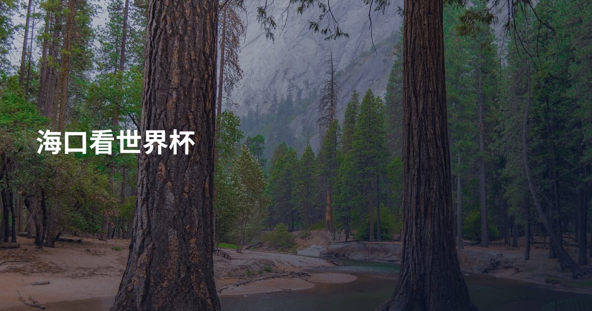 海口看世界杯