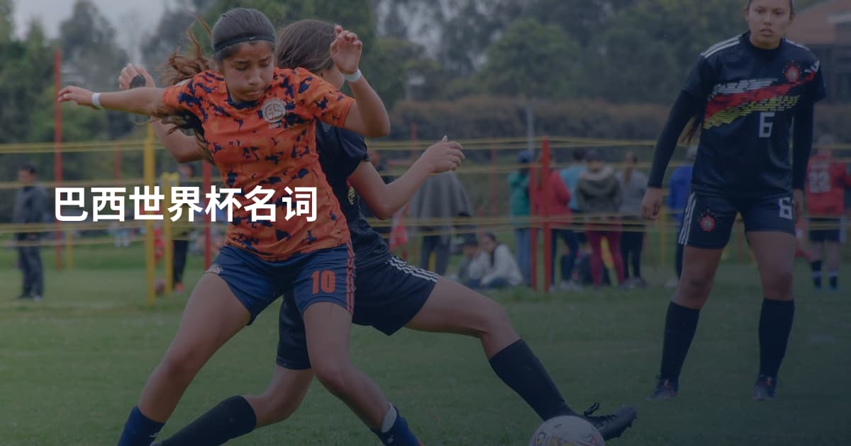 巴西世界杯名词