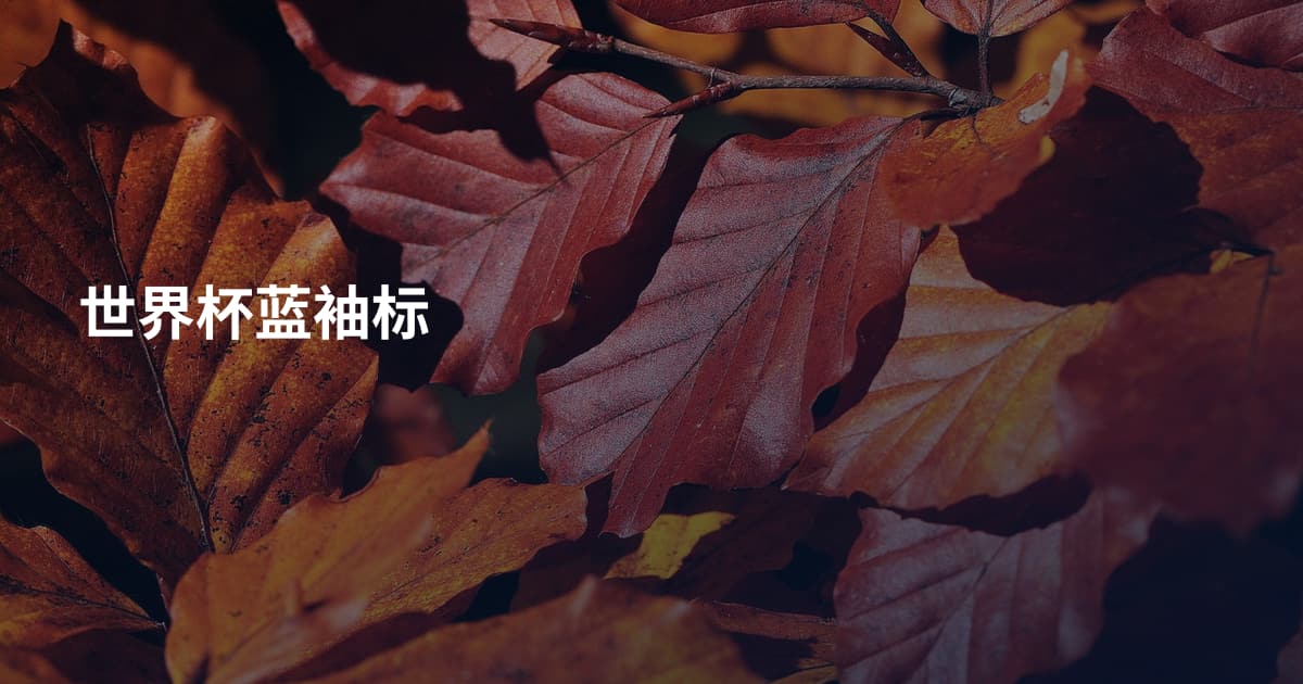 世界杯蓝袖标
