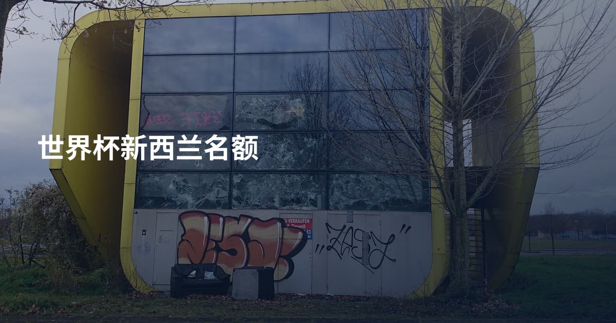 世界杯新西兰名额