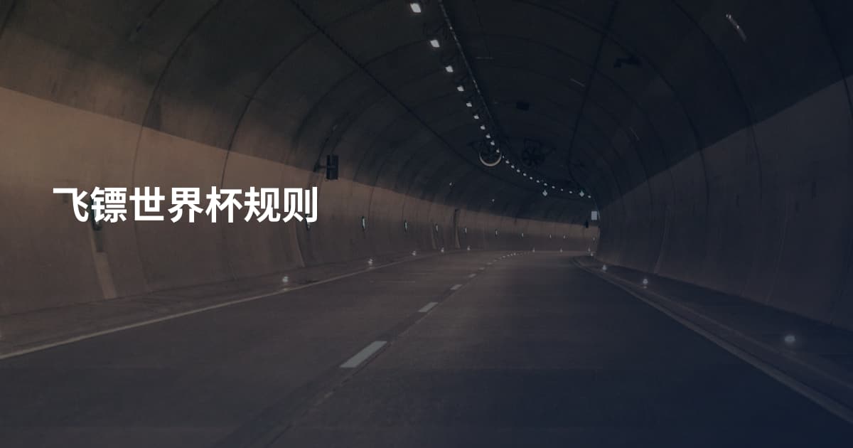 飞镖世界杯规则