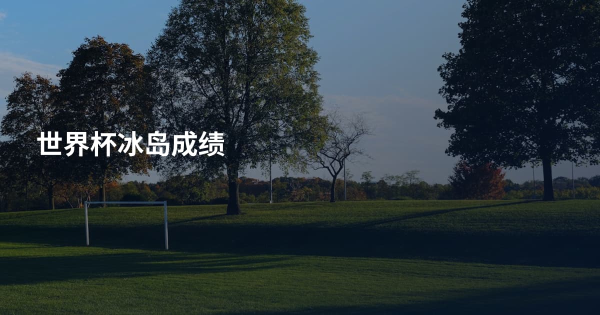世界杯冰岛成绩