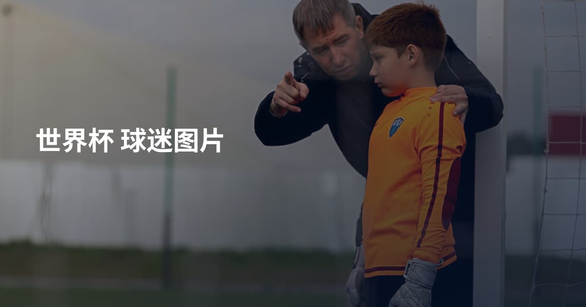 世界杯 球迷图片