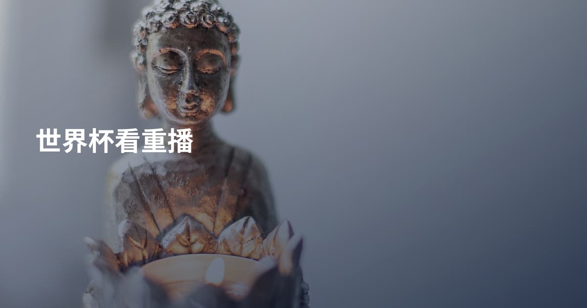 世界杯看重播
