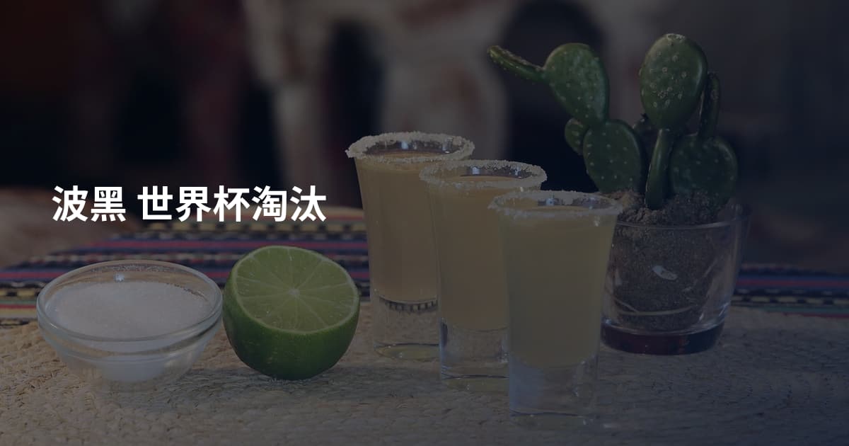 波黑 世界杯淘汰
