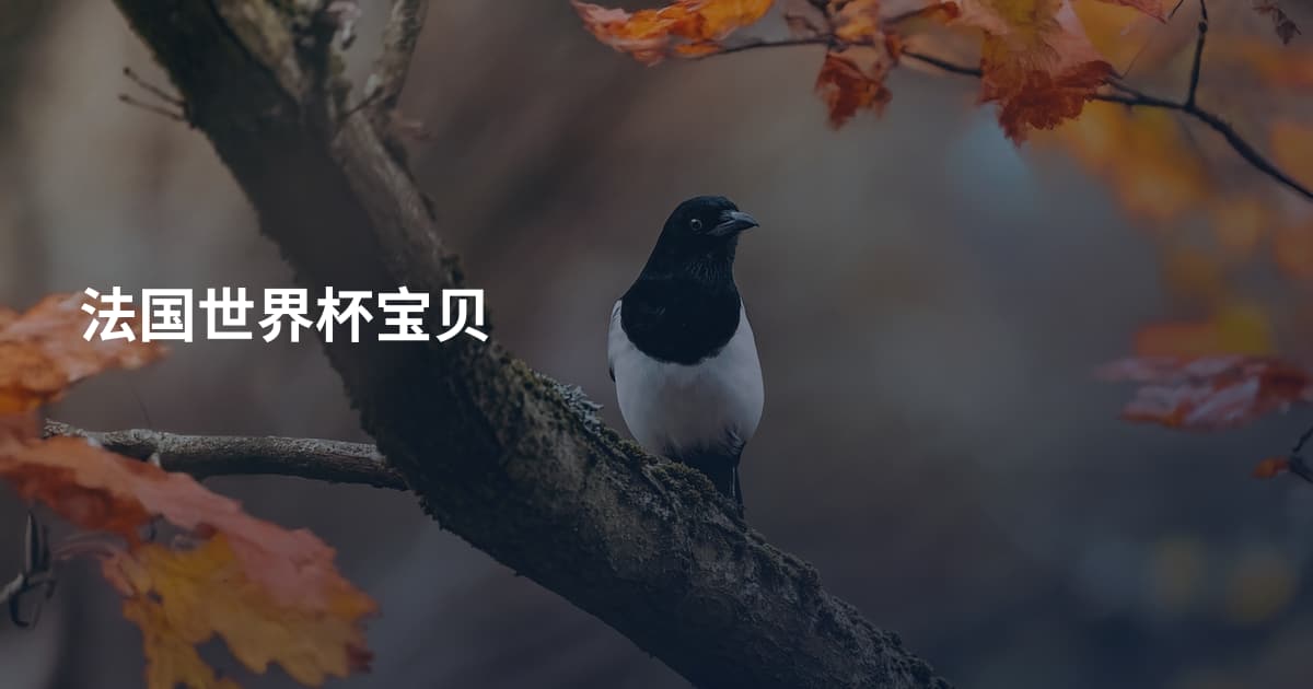 法国世界杯宝贝