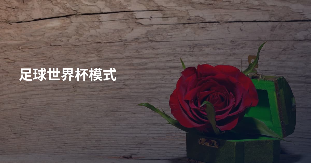 足球世界杯模式
