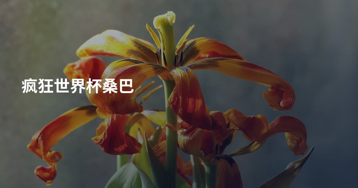 疯狂世界杯桑巴