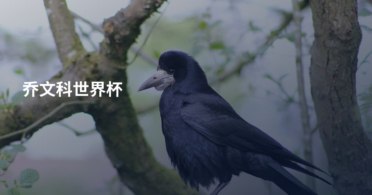 乔文科世界杯