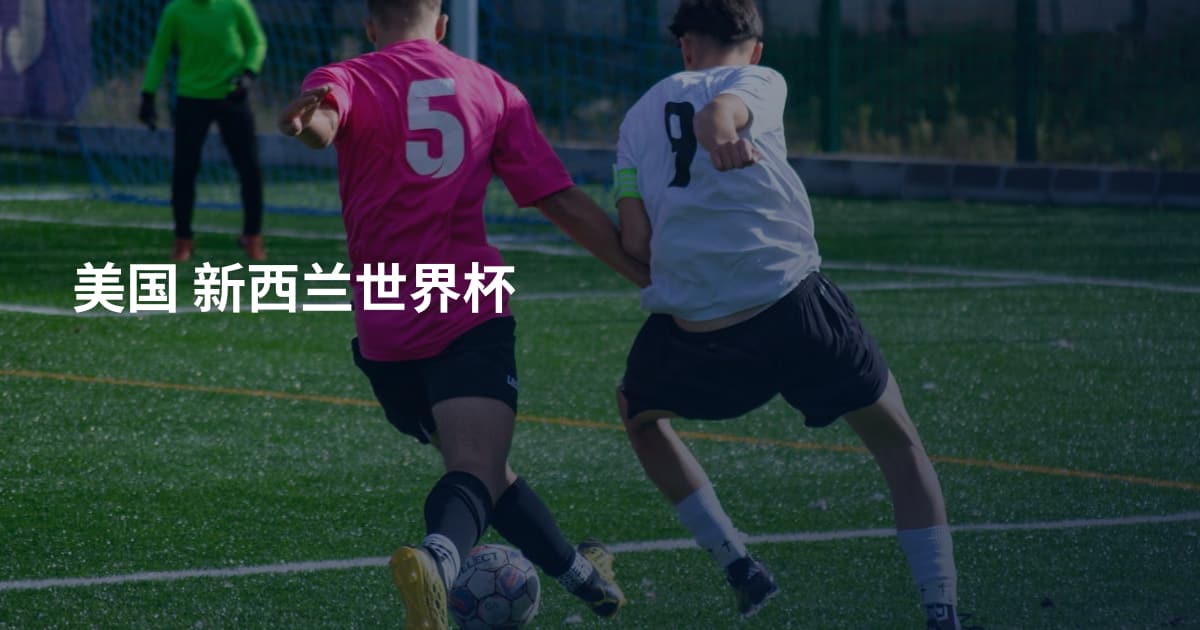 美国 新西兰世界杯