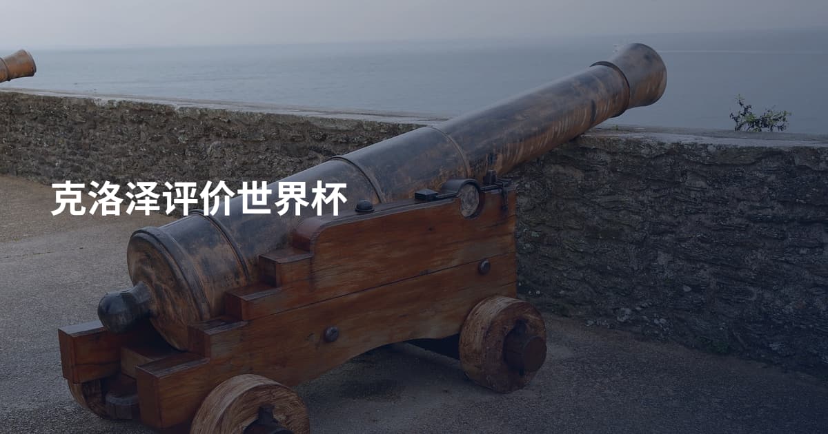 克洛泽评价世界杯