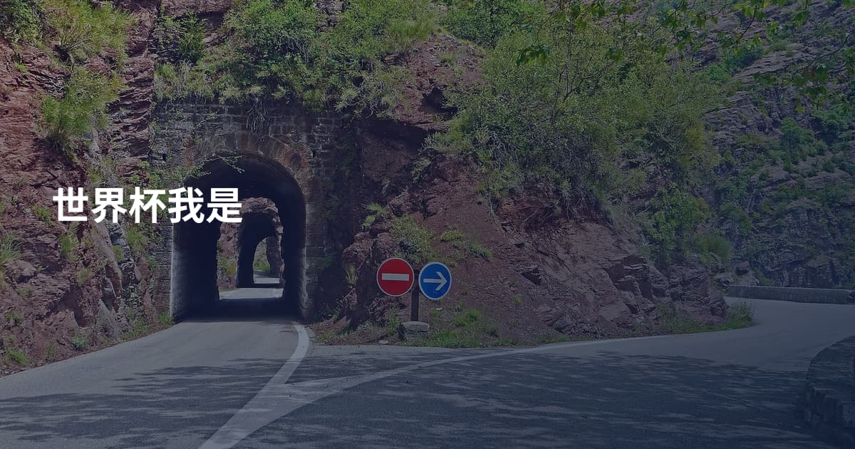 世界杯我是