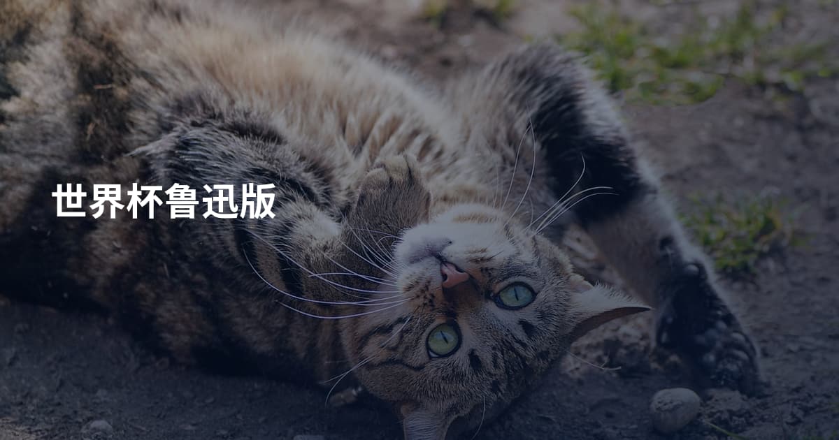 世界杯鲁迅版