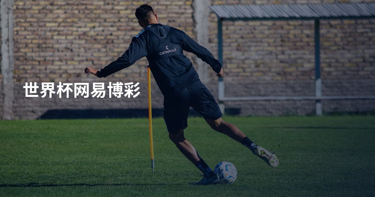 世界杯网易博彩