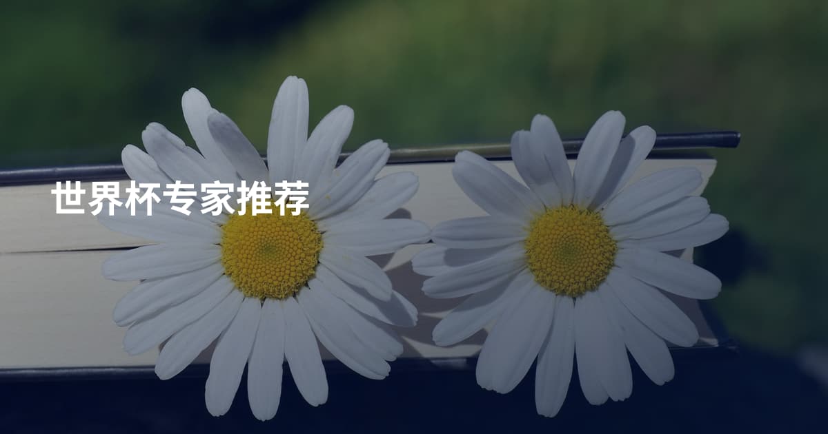 世界杯专家推荐