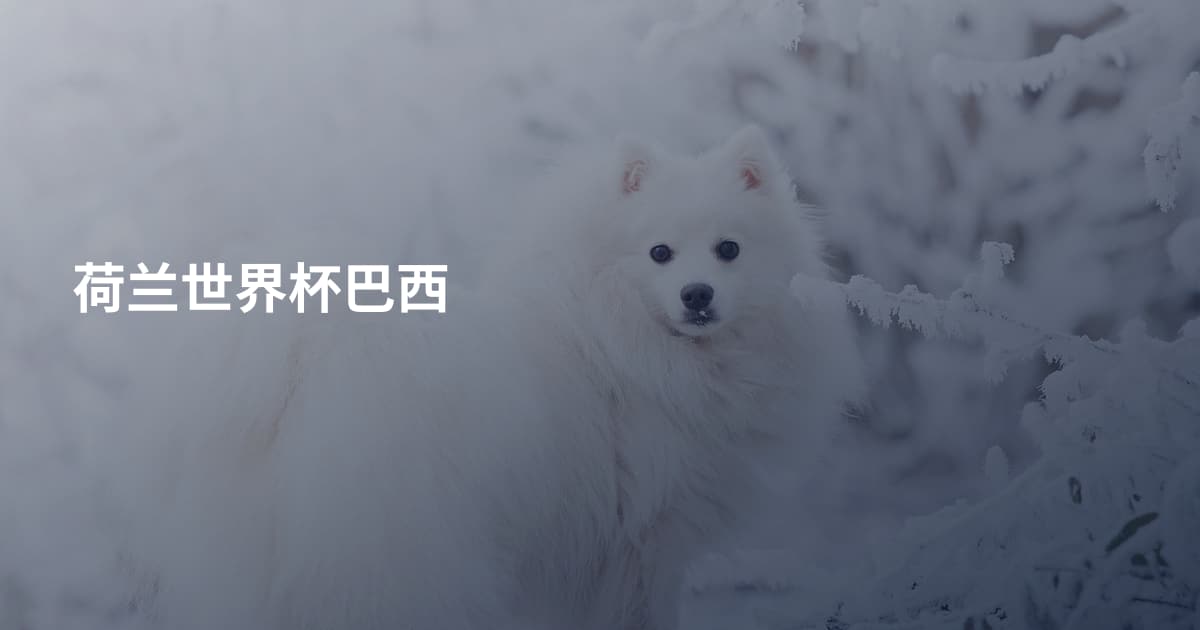 荷兰世界杯巴西