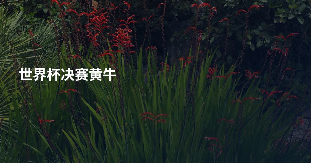 世界杯决赛黄牛