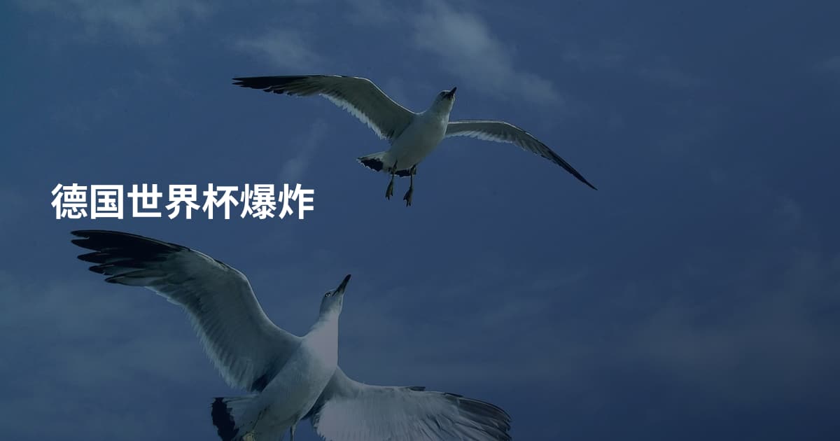 德国世界杯爆炸