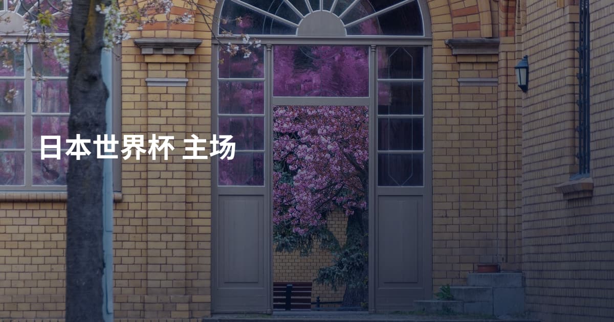 日本世界杯 主场