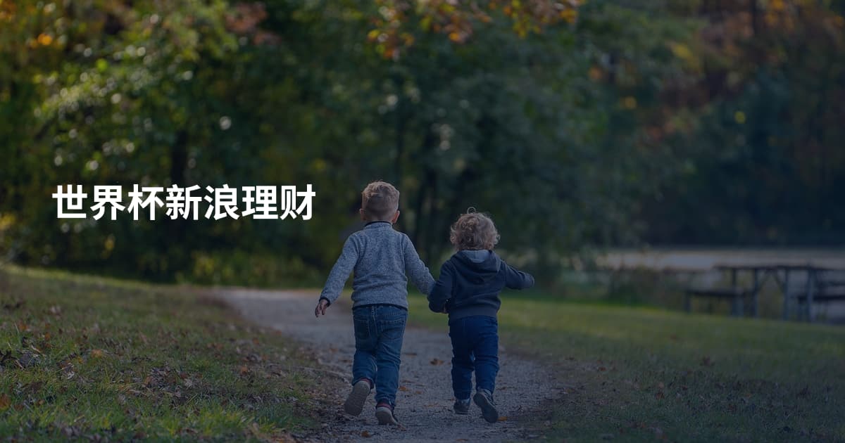 世界杯新浪理财