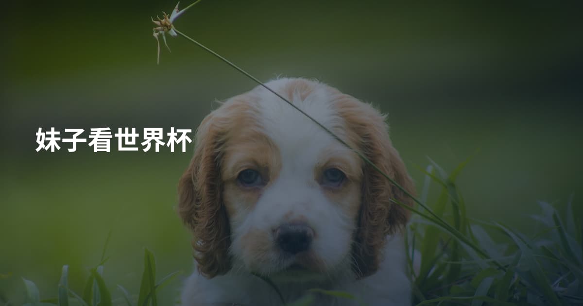 妹子看世界杯