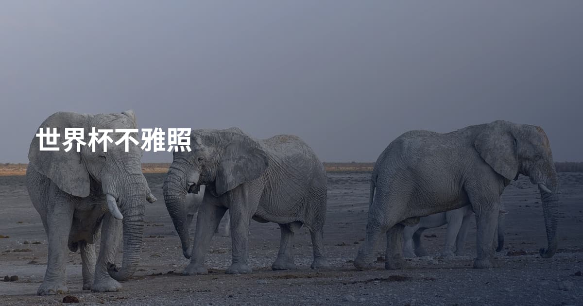 世界杯不雅照