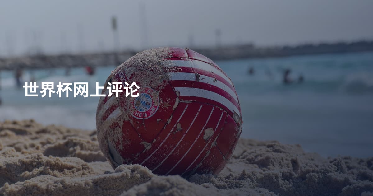 世界杯网上评论