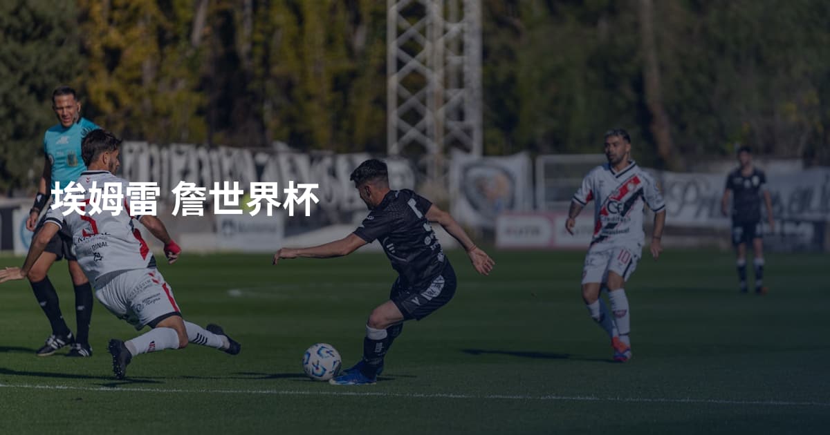 埃姆雷 詹世界杯