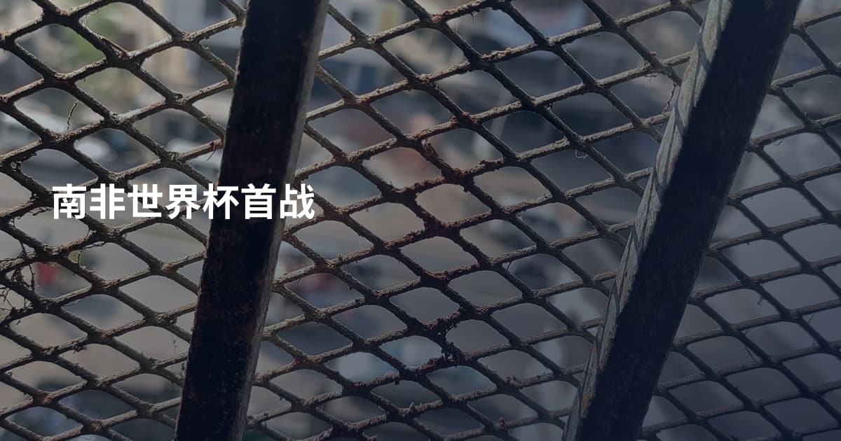 南非世界杯首战