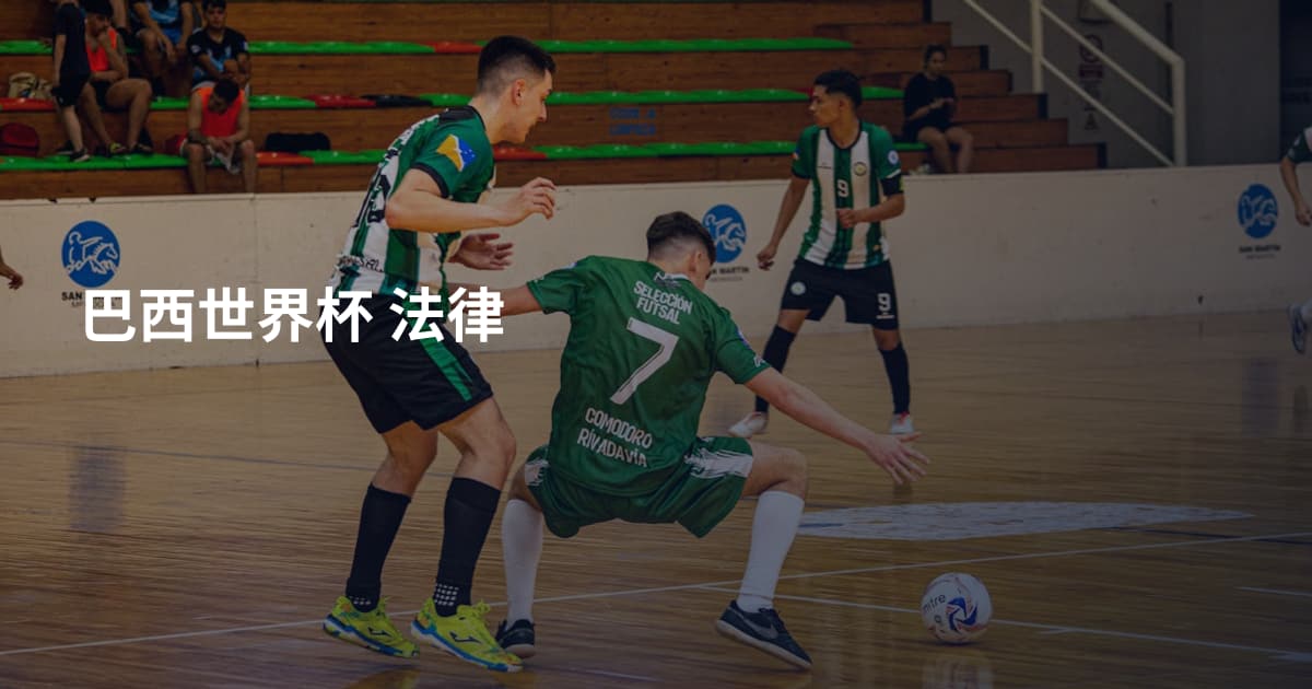 巴西世界杯 法律