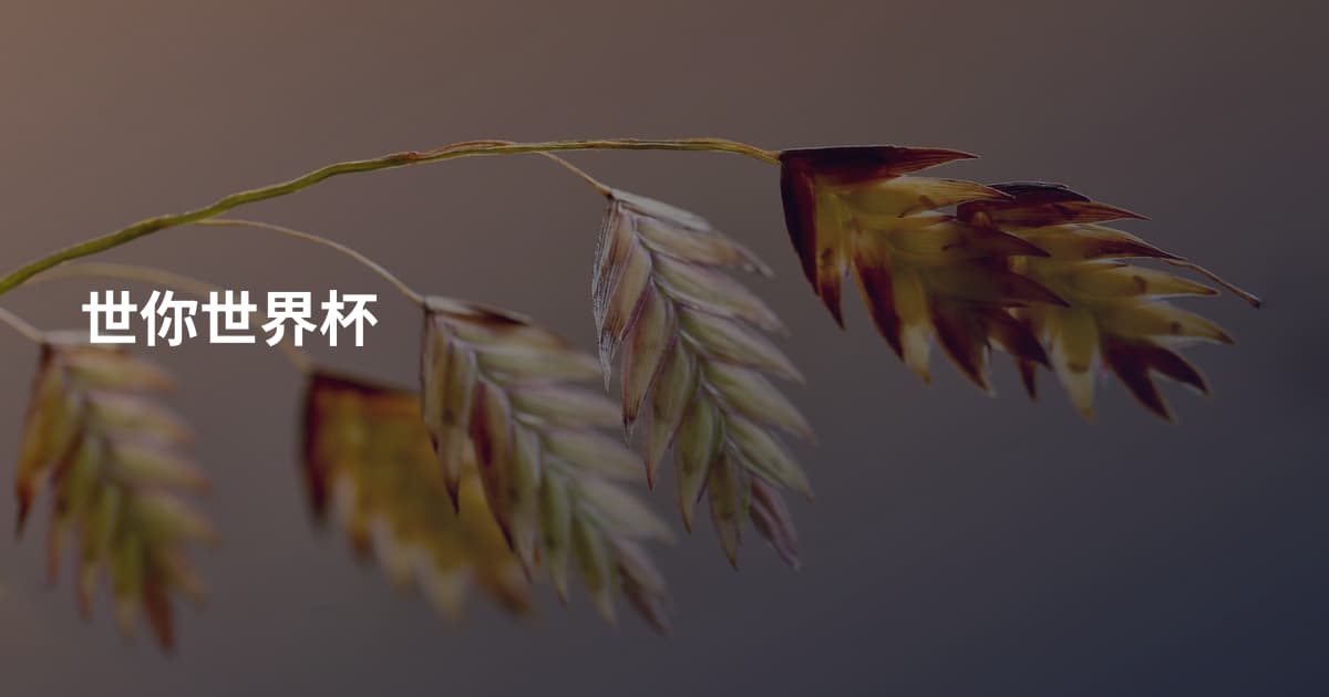 世你世界杯