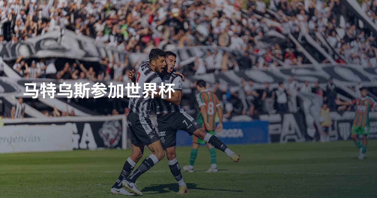 马特乌斯参加世界杯