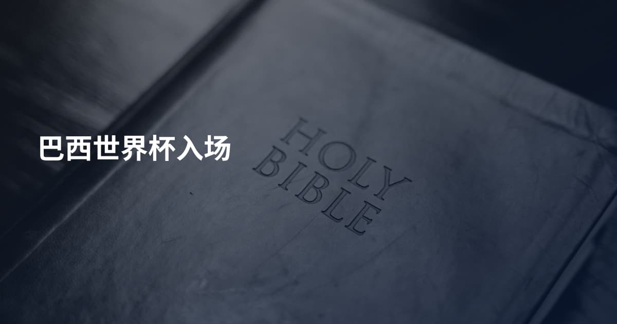 巴西世界杯入场