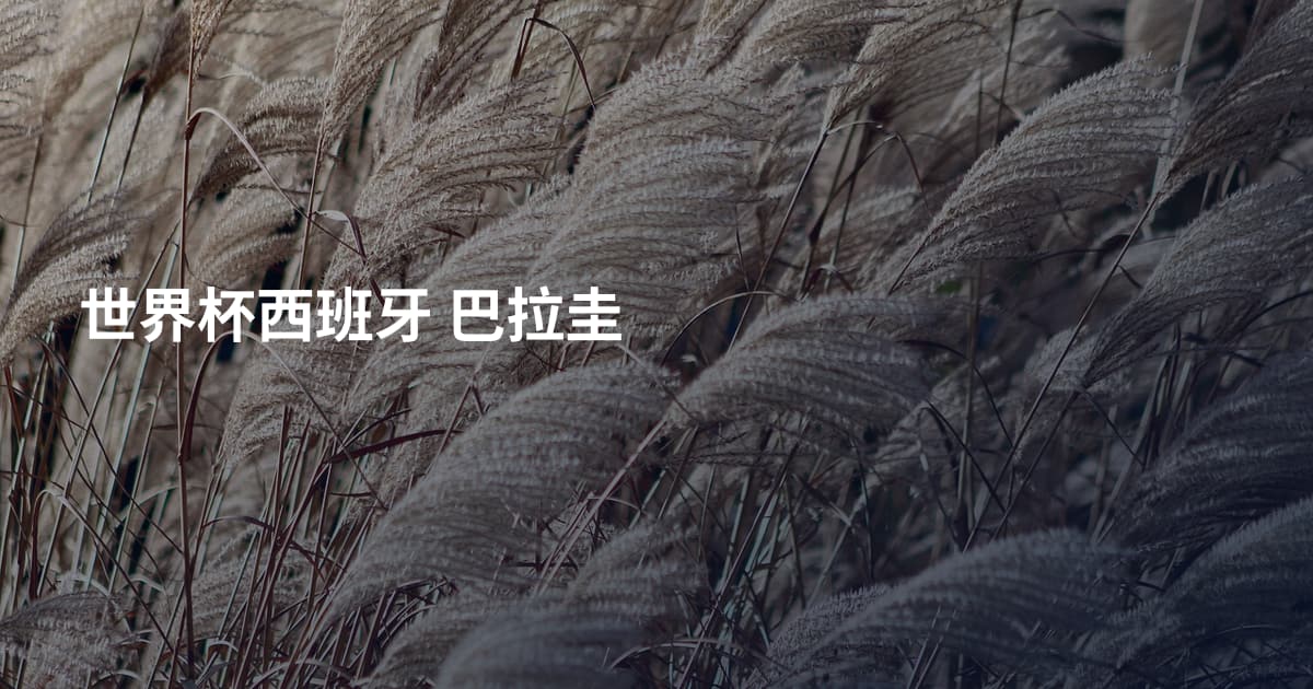 世界杯西班牙 巴拉圭