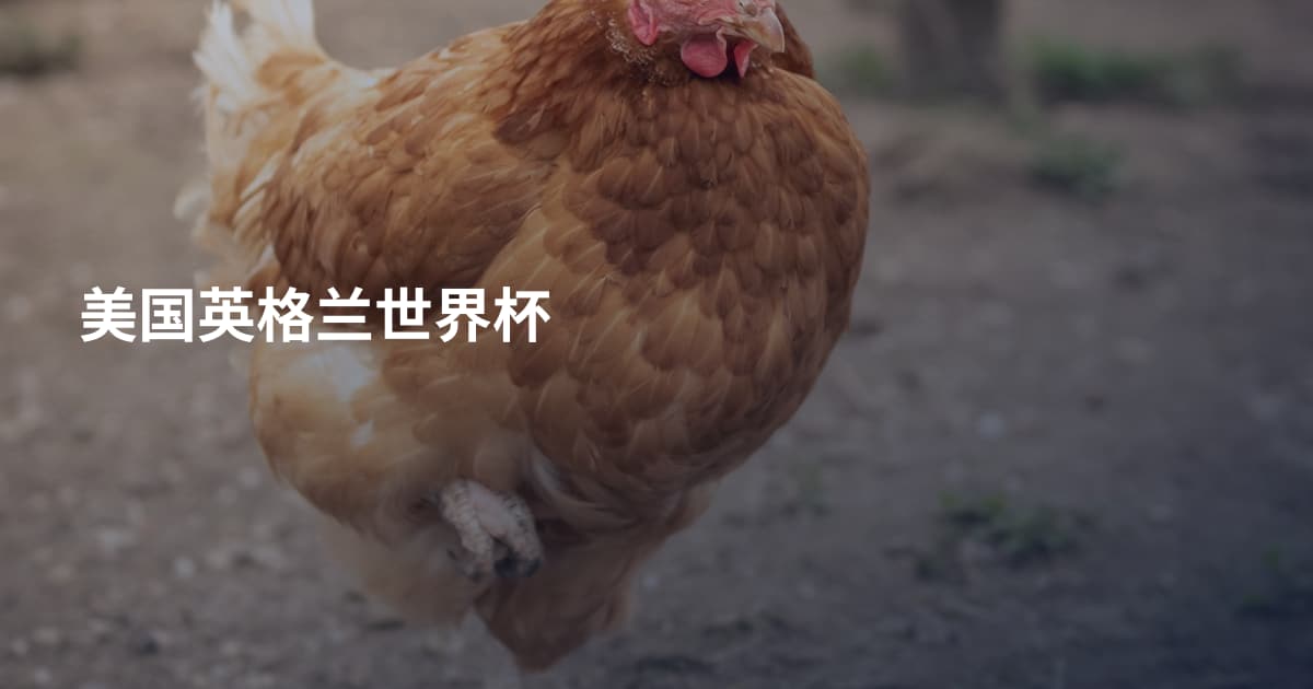 美国英格兰世界杯