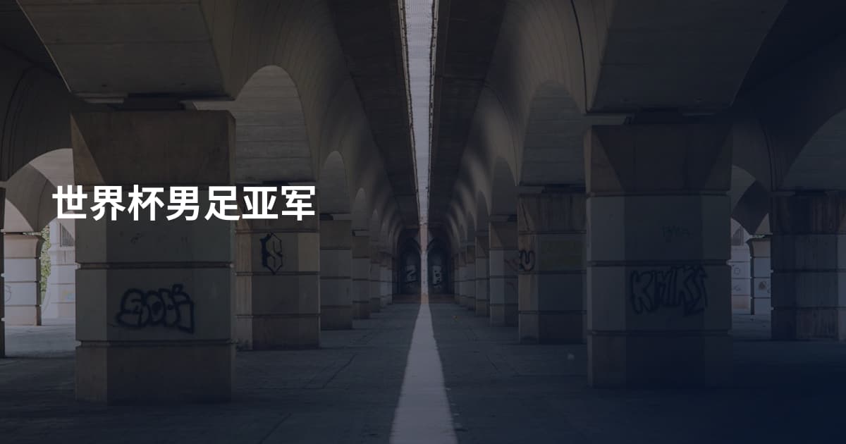 世界杯男足亚军