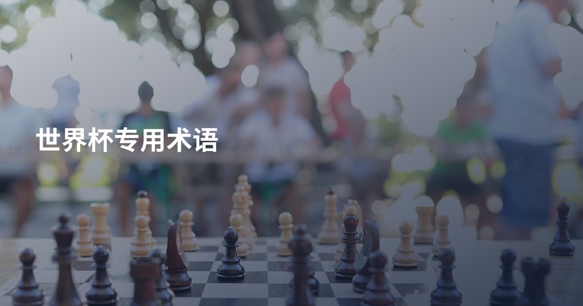世界杯专用术语
