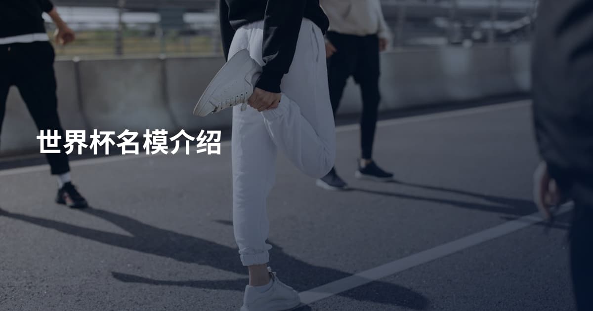 世界杯名模介绍