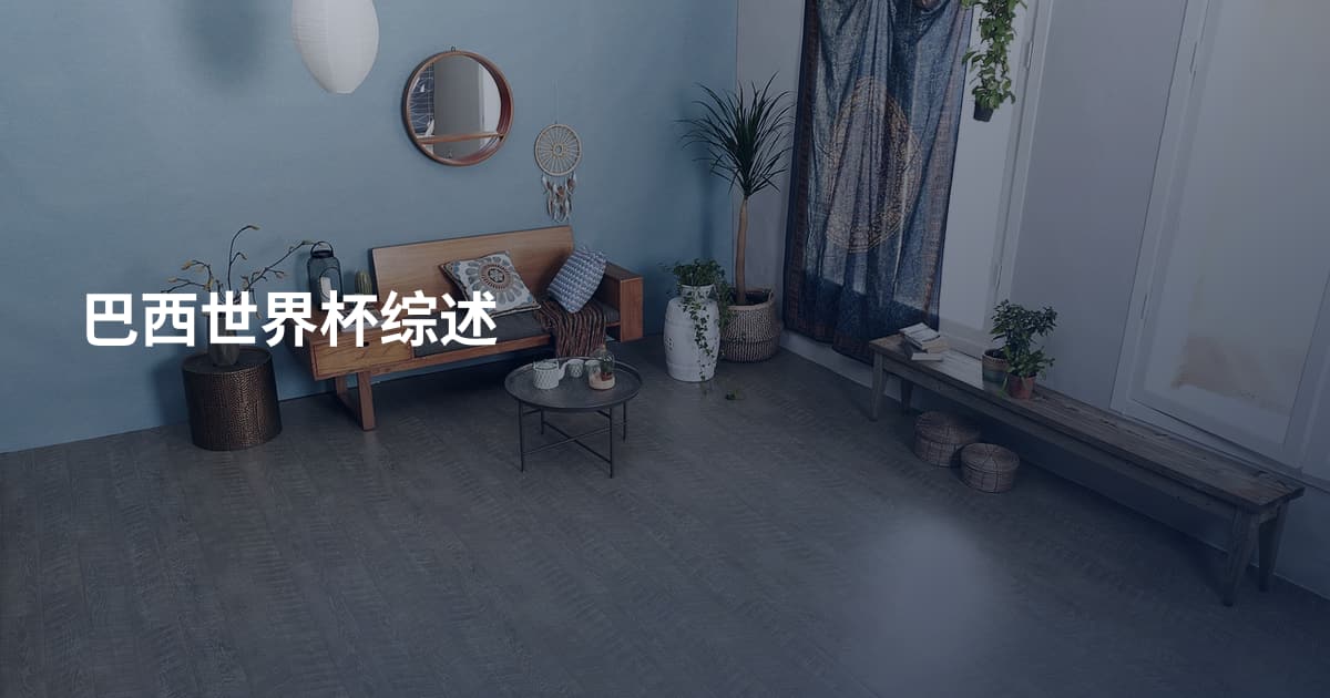 巴西世界杯综述