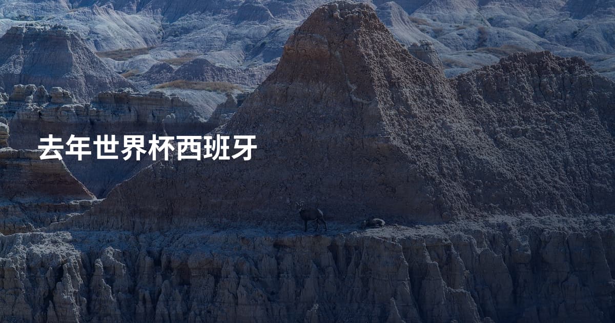 去年世界杯西班牙