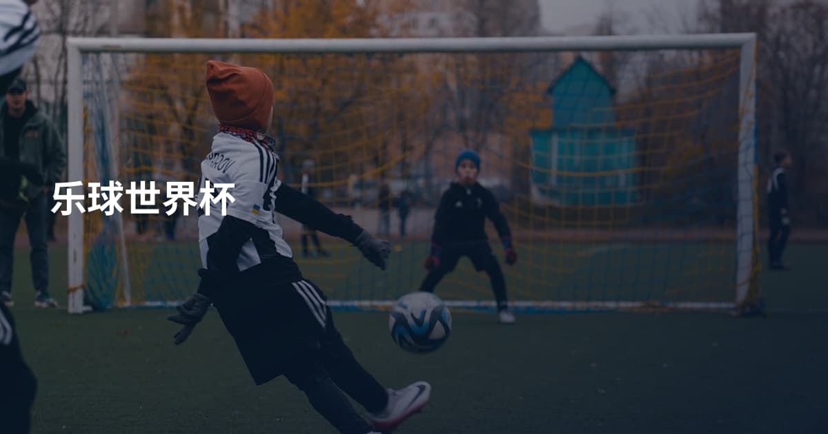 乐球世界杯