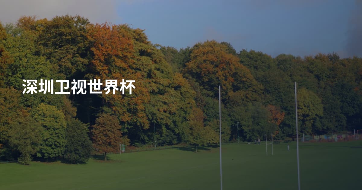 深圳卫视世界杯