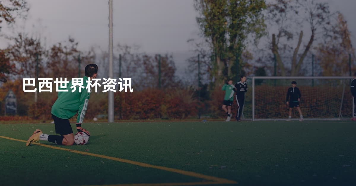 巴西世界杯资讯