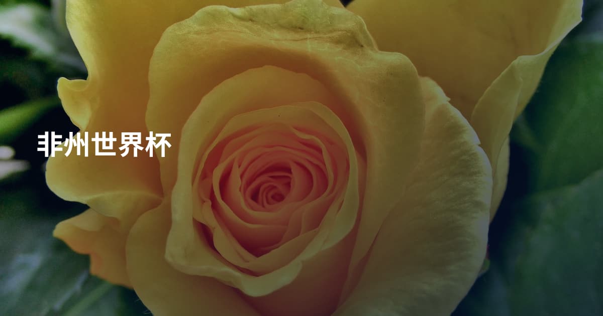 非州世界杯