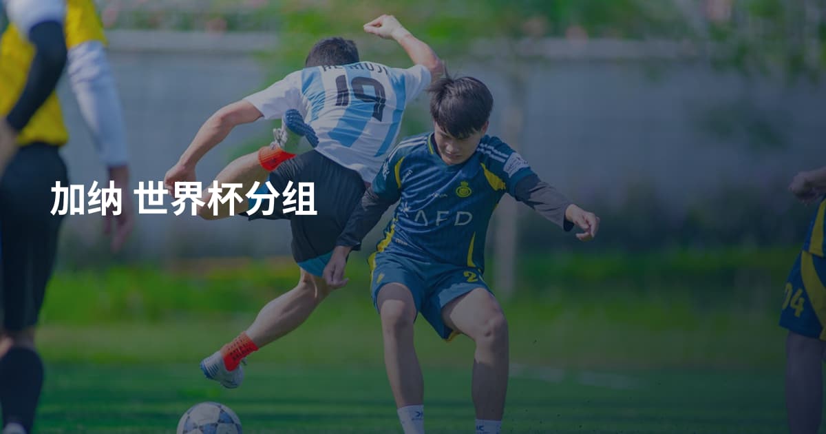 加纳 世界杯分组