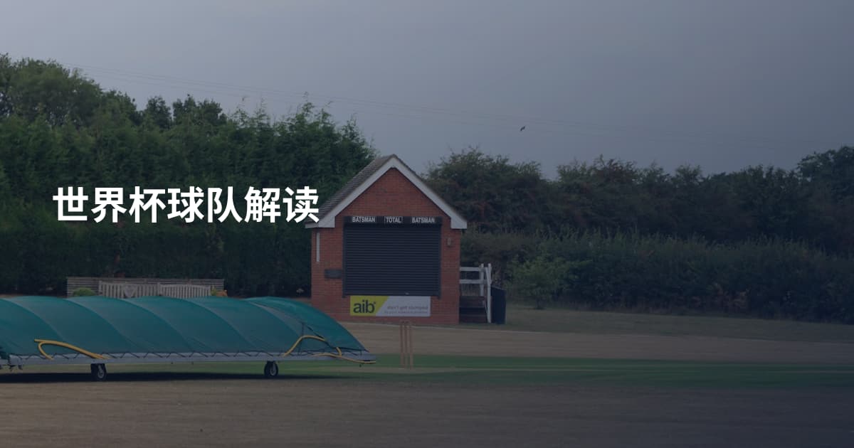 世界杯球队解读