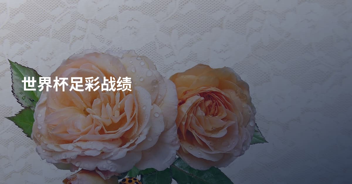世界杯足彩战绩