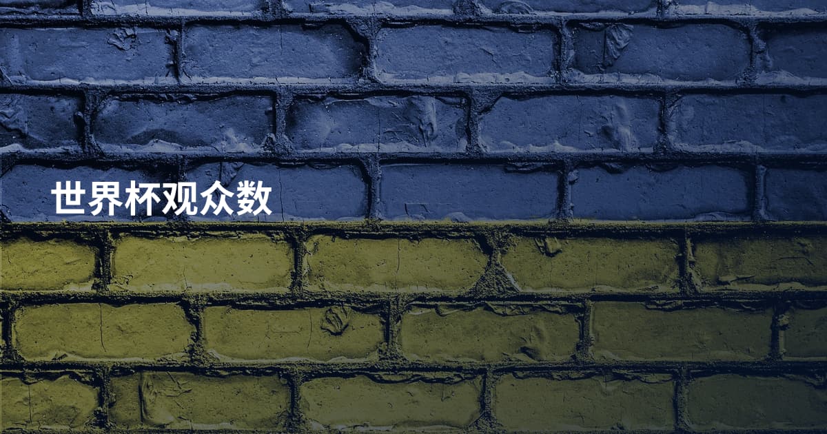 世界杯观众数