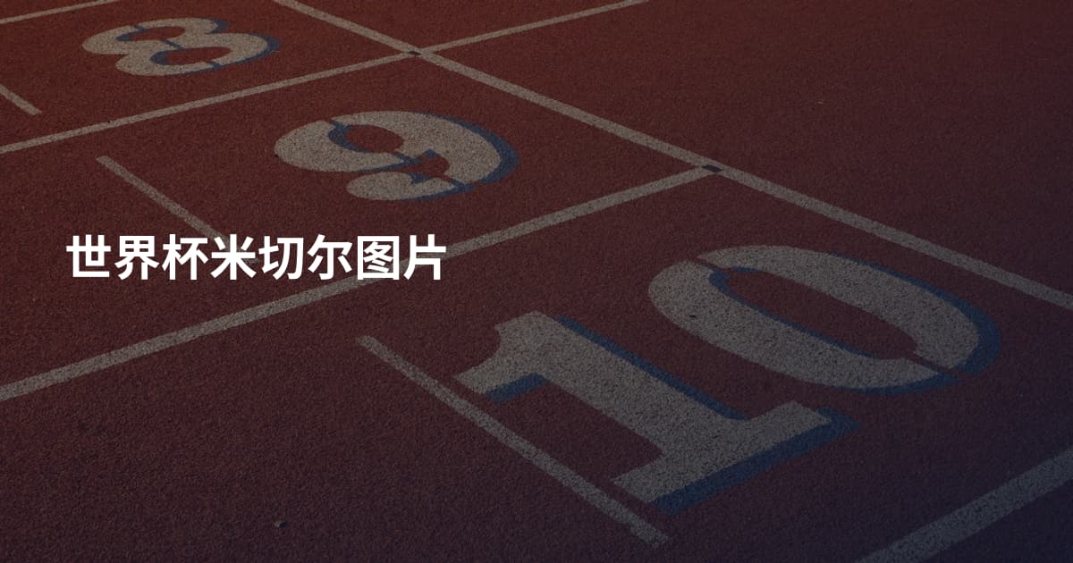 世界杯米切尔图片