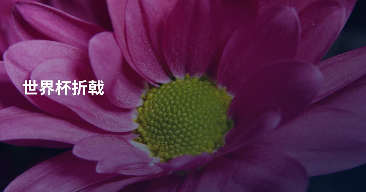 世界杯折戟